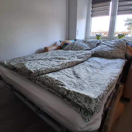 Ronnys Wilde Wiese Belgershain