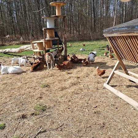 Ronnys Wilde Wiese Apartman