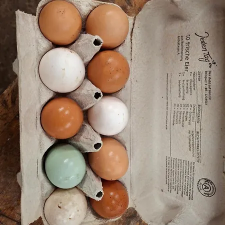 Ronnys Wilde Wiese Apartman *