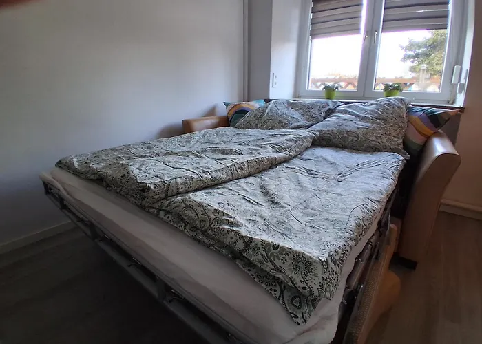 Ronnys Wilde Wiese Belgershain