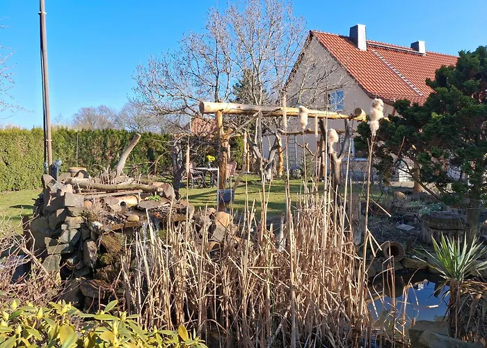 Ronnys Wilde Wiese Belgershain