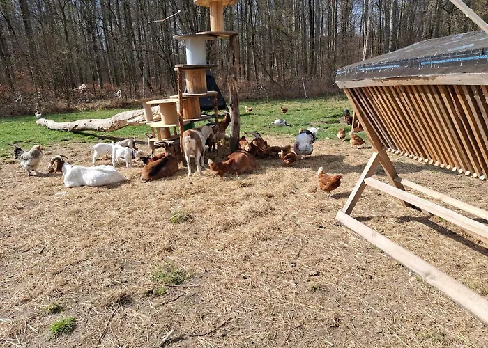 Ronnys Wilde Wiese Apartmán