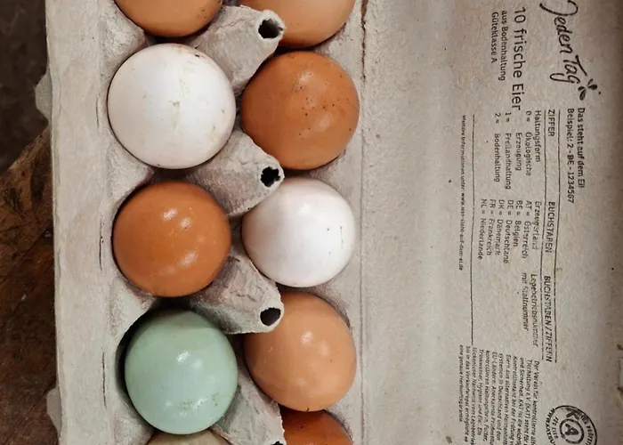 Ronnys Wilde Wiese Apartmán *